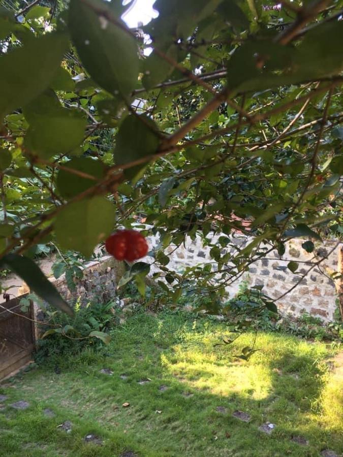 Casa No Paraiso Ecologico Da Ilha Grande 외부 사진